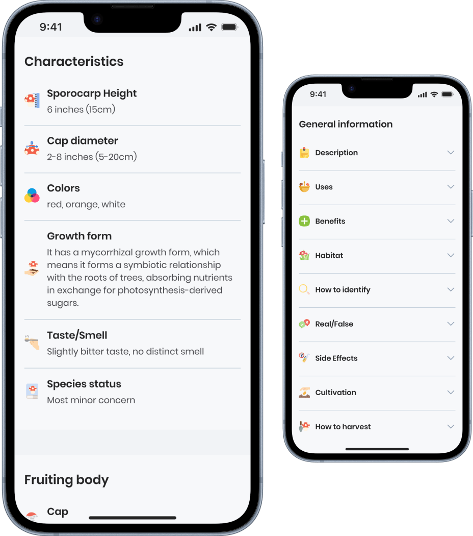 Fungi Mushroom Identification App For Your Iphone (App Store)