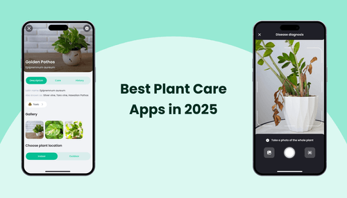 Best Plant Care Apps in 2025