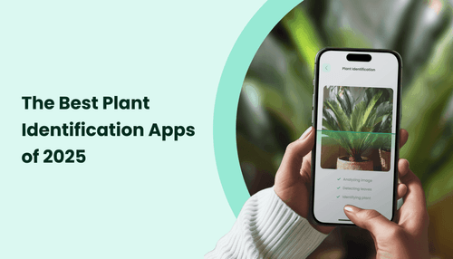 The Best Plant Identification Apps of 2025