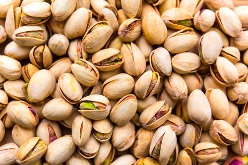 How to Grow Pistachios 101