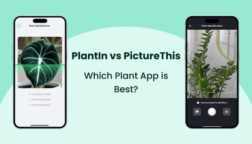  Plantin vs PictureThis Apps Review