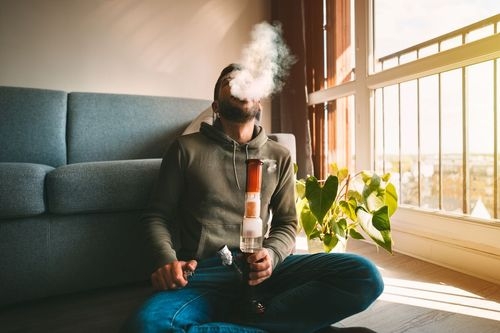 Is Bong Water Good for Plants?