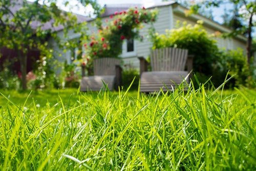 When to Plant Grass Seed