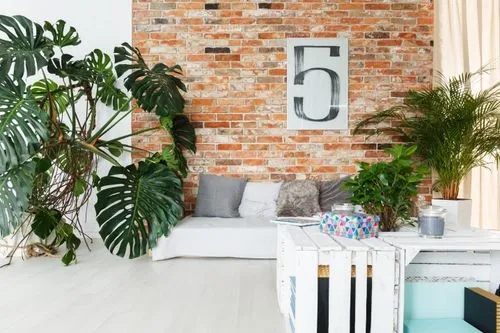 How to Arrange Plants in Living Room