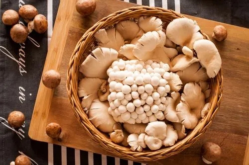 How to Grow Mushrooms at Home