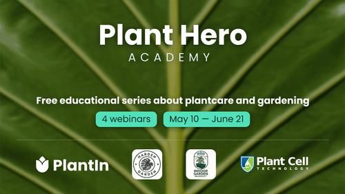 🔥 Plant Hero Academy 🔥 Cultivating a Community of Plant Enthusiasts