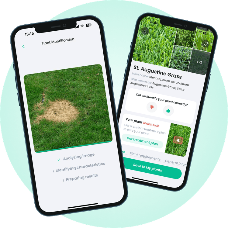 PlantIn Lawn Care App
