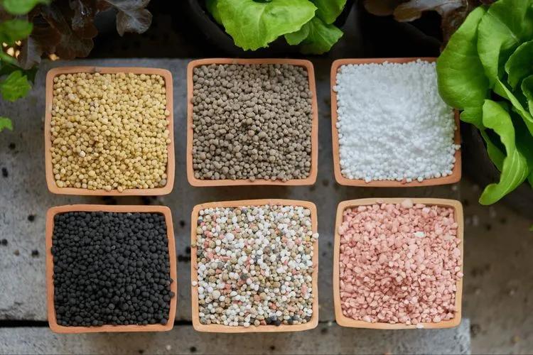 fertilizer10.jpg