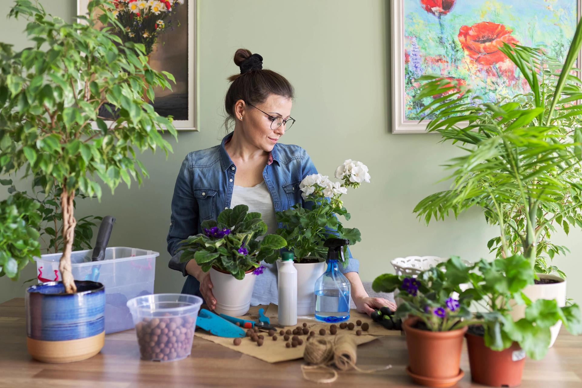 How to Grow Healthy Flowering Plants at Home