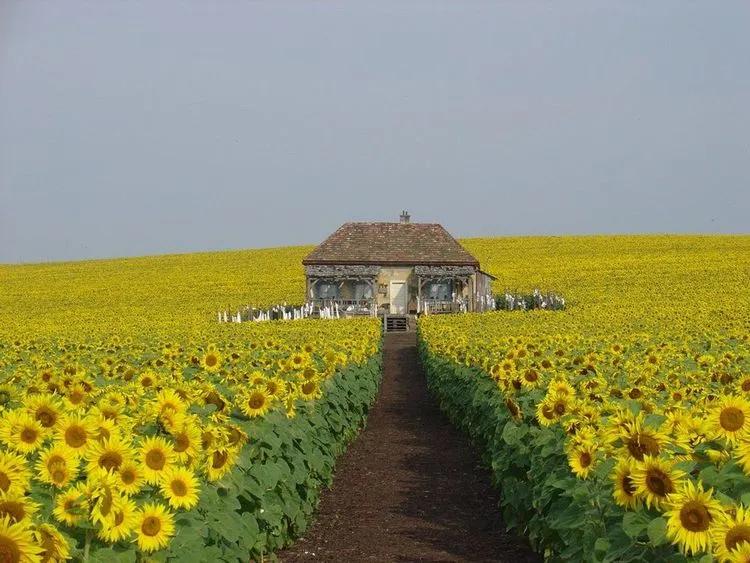 19a63afb-7c17-475b-91da-beda9ae508f2.web