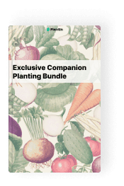 Bundle guide