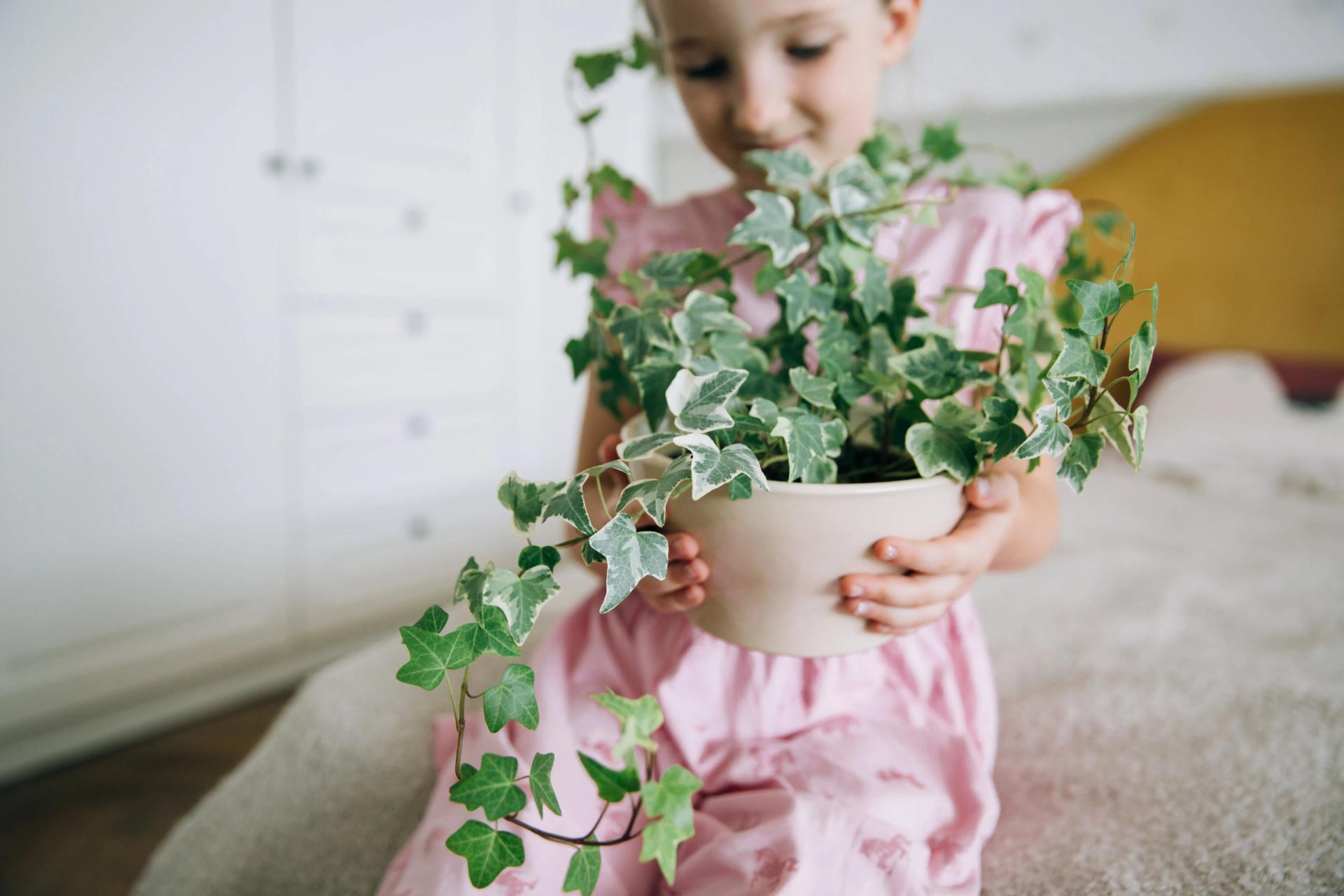 girl-holding-a-pot-with-a-houseplant-in-a-light-po-2021-09-01-19-40-29-utc-min.jpg