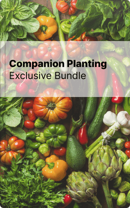 Bundle guide