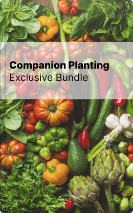 Bundle guide