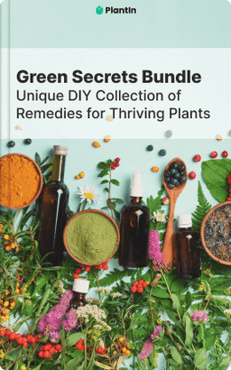 Bundle guide