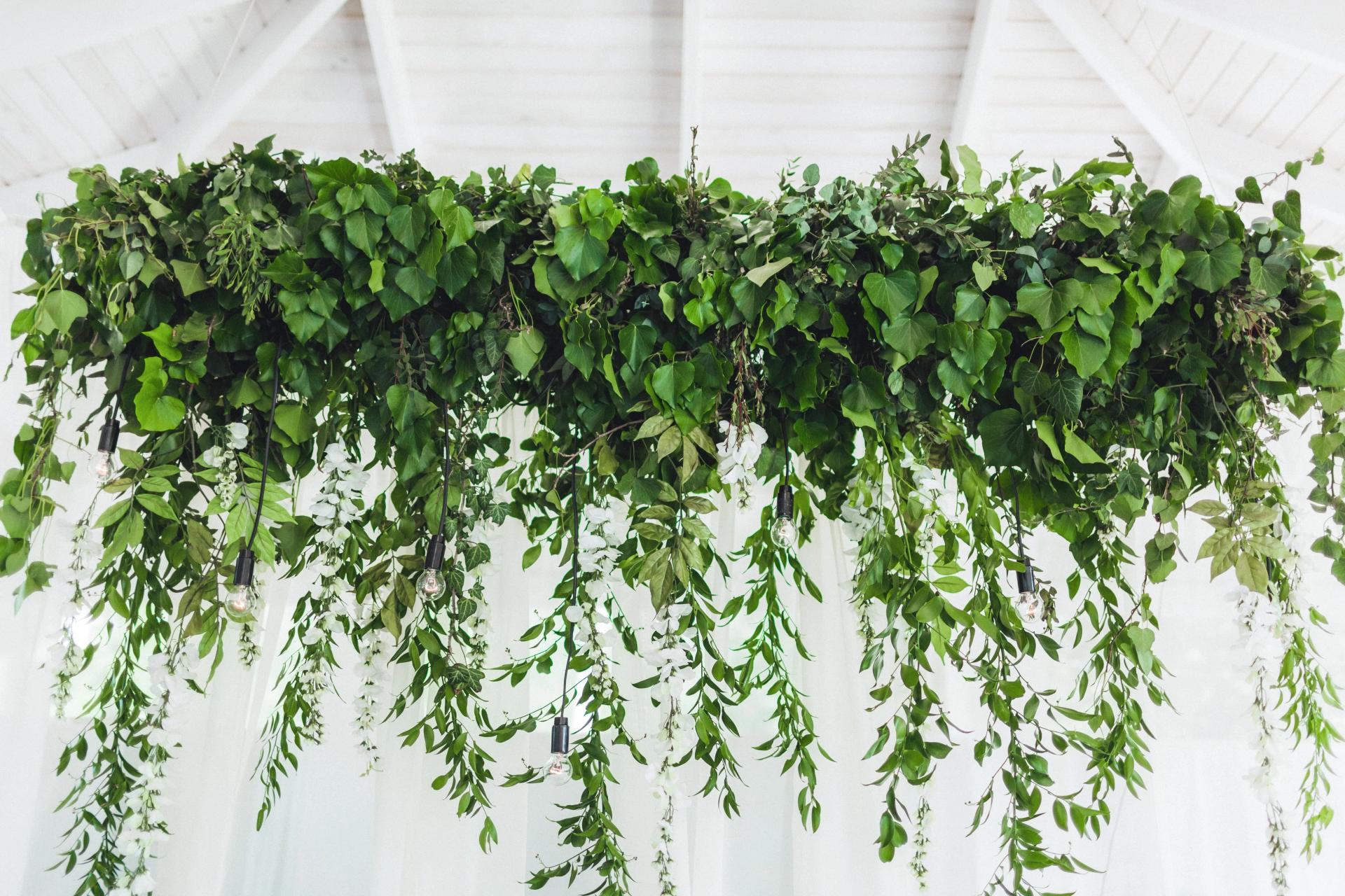 How to Hang Plants from Ceiling Without Drilling & In Other Ways Guide