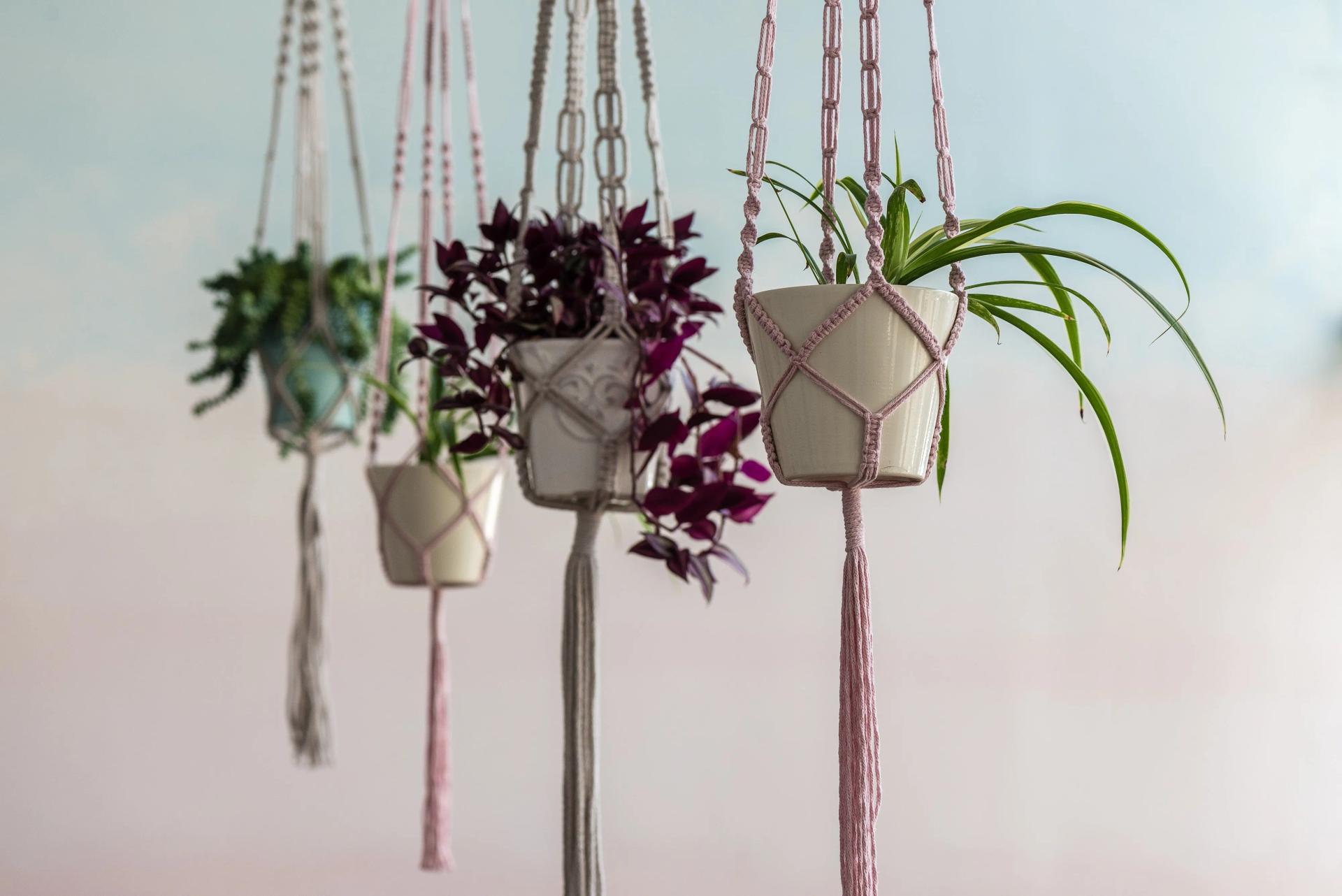 How to Hang Plants From Ceiling