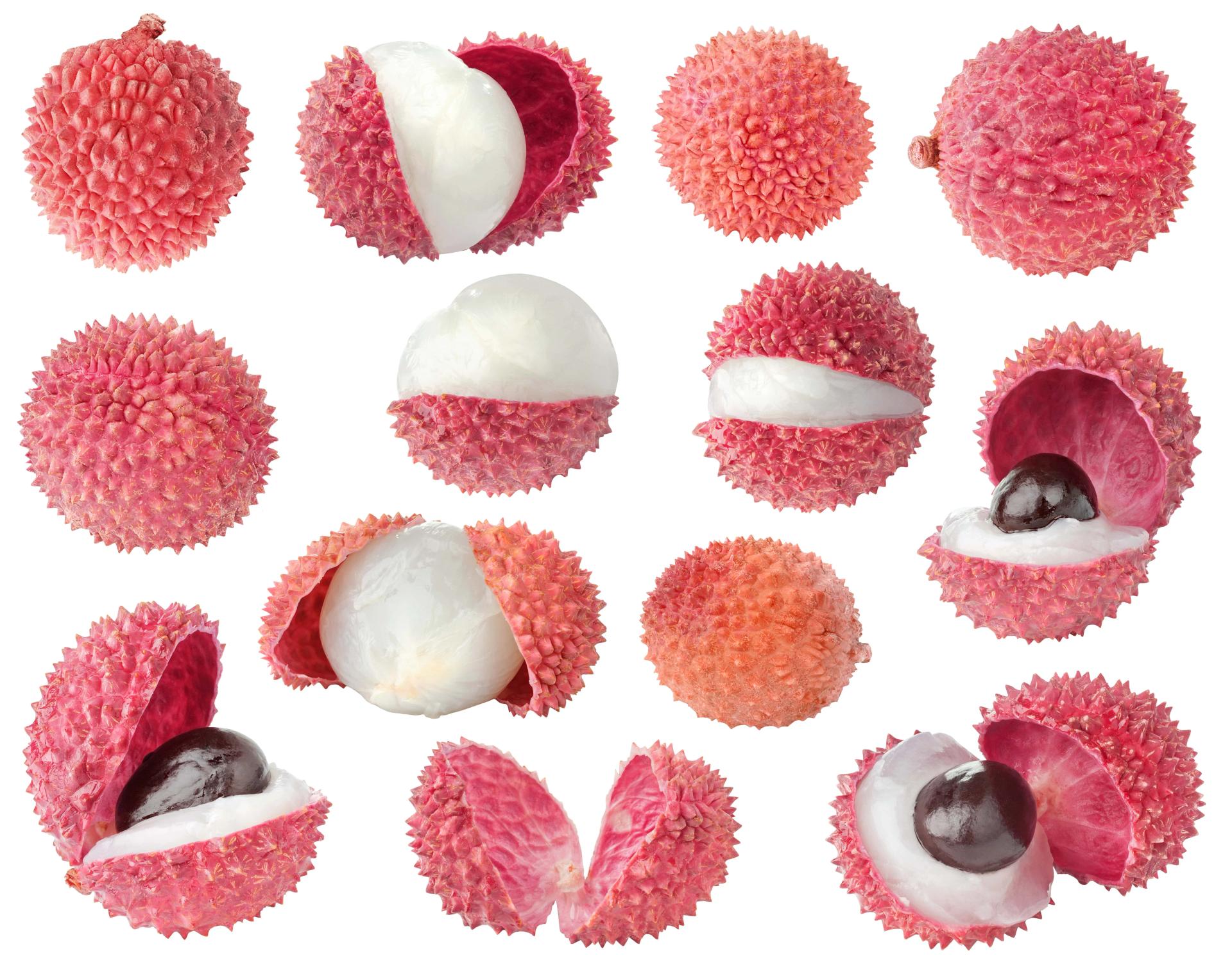 How to Grow Lychee From Seed Plant Growing & Trees Care Instructions