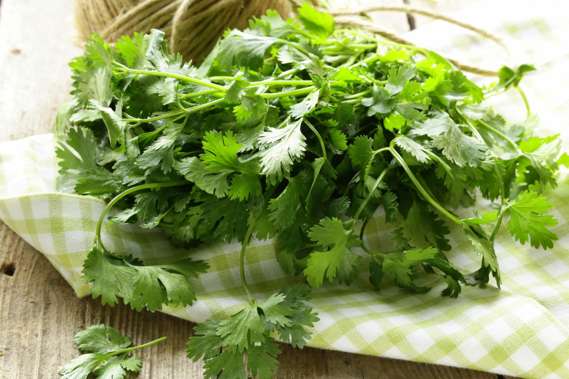 Parsley