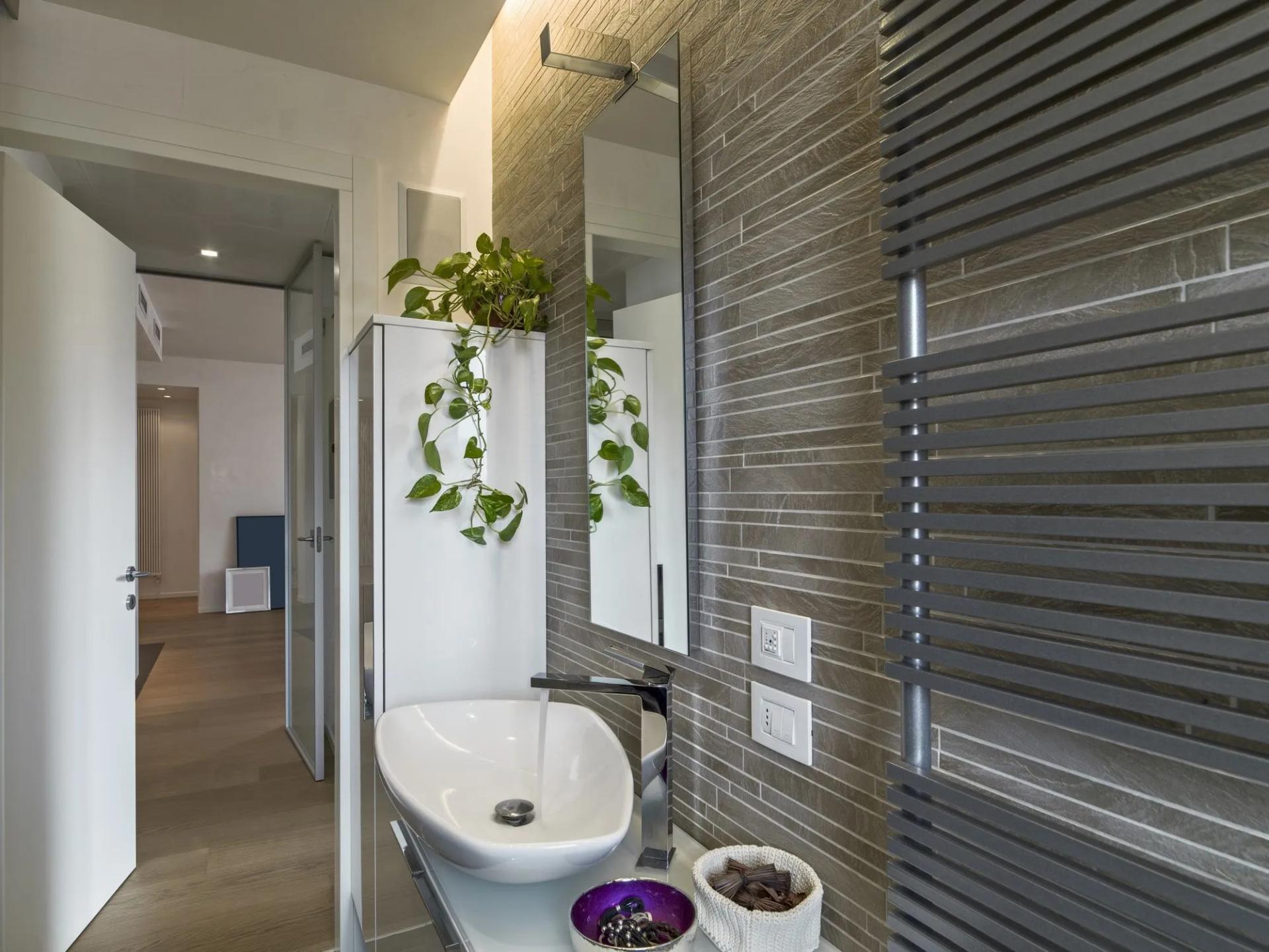 Pothos in Bathroom