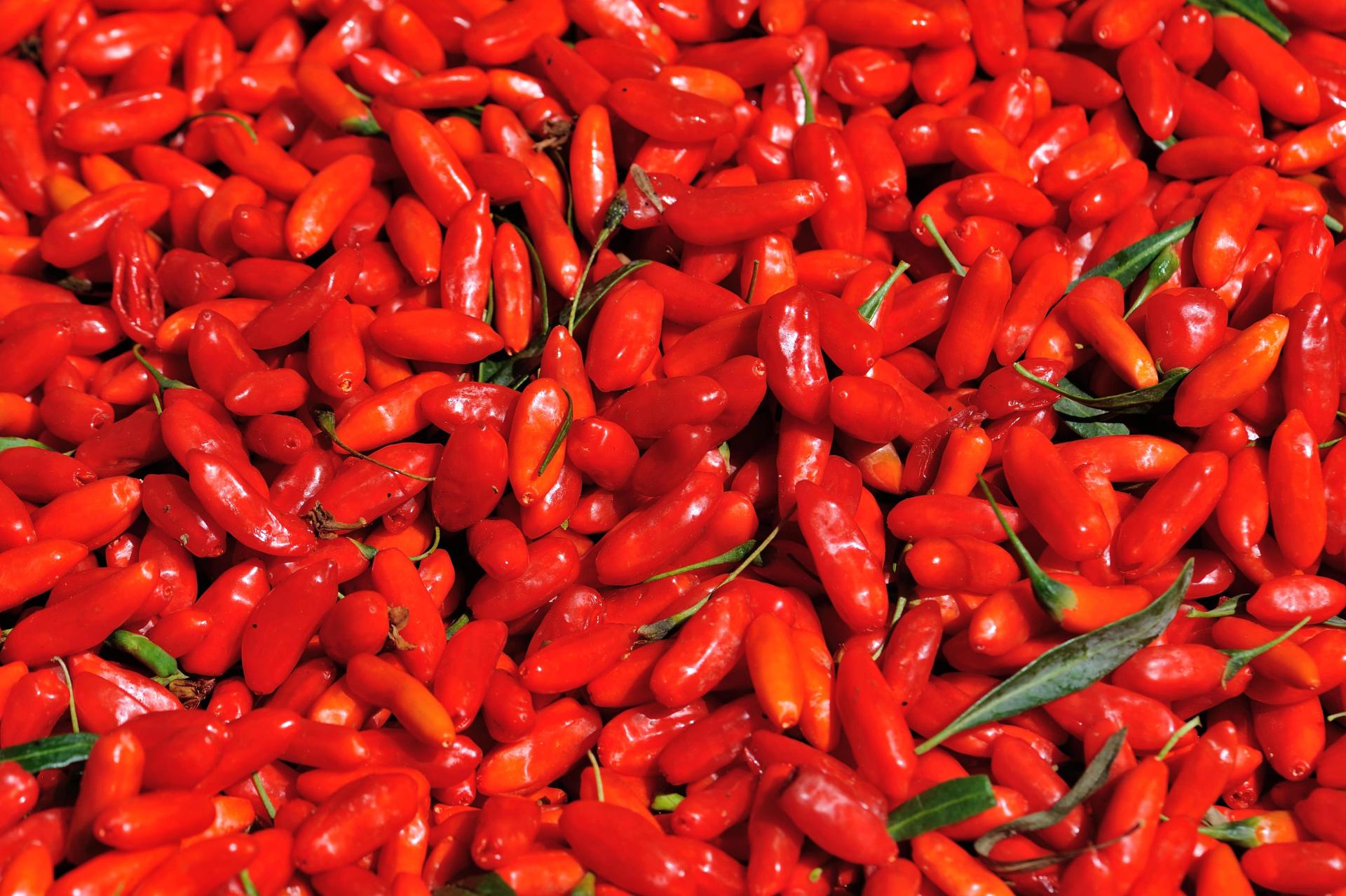 Goji Berries.JPG