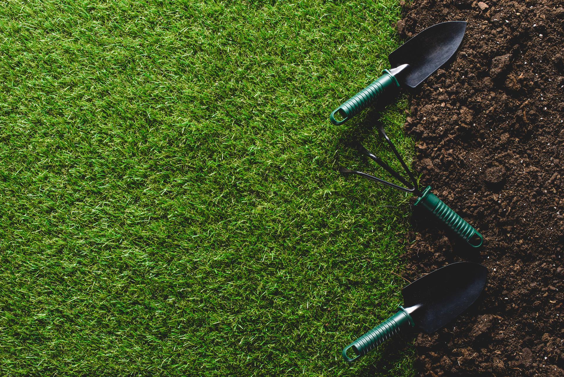 Preparations for planting grass seed