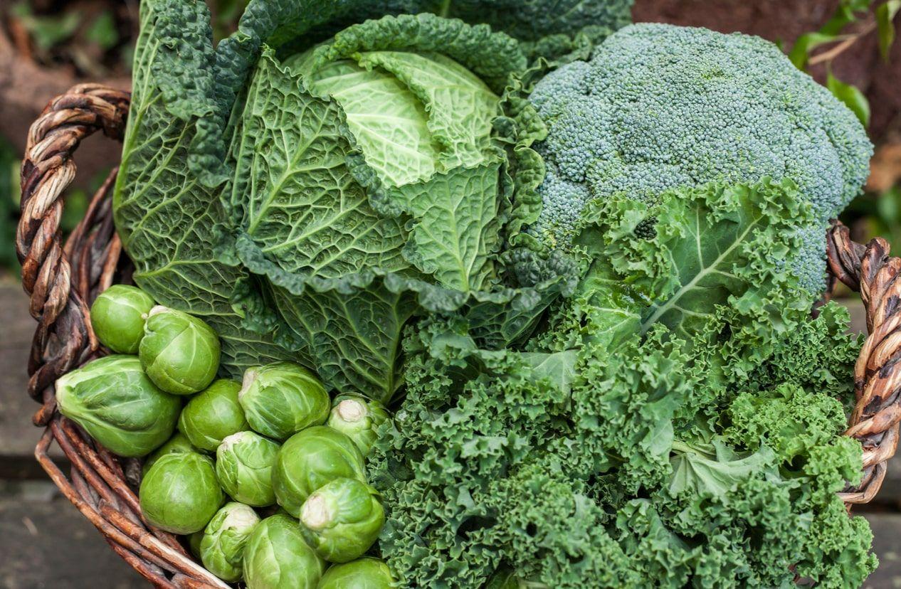 A basket full of brassicas