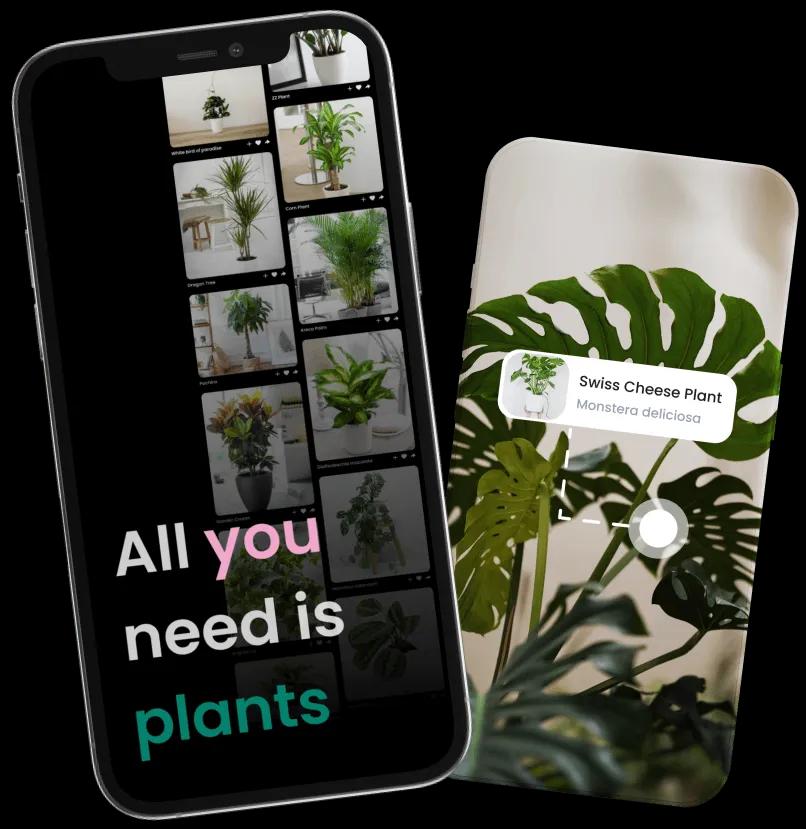 Plant Identification App