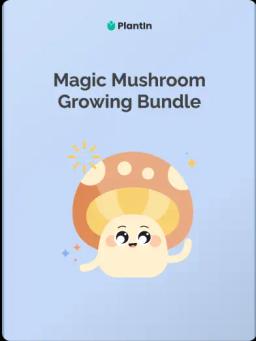 Bundle guide