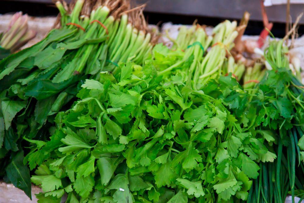 A picture of various leafy vegetabes