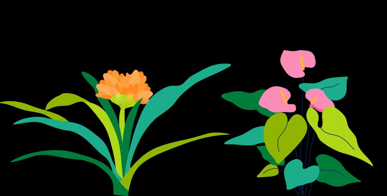 Flower Identifier