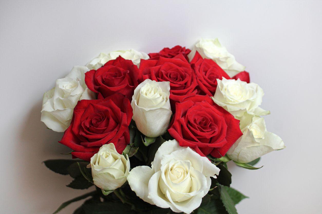 Red and white rose bouquet 