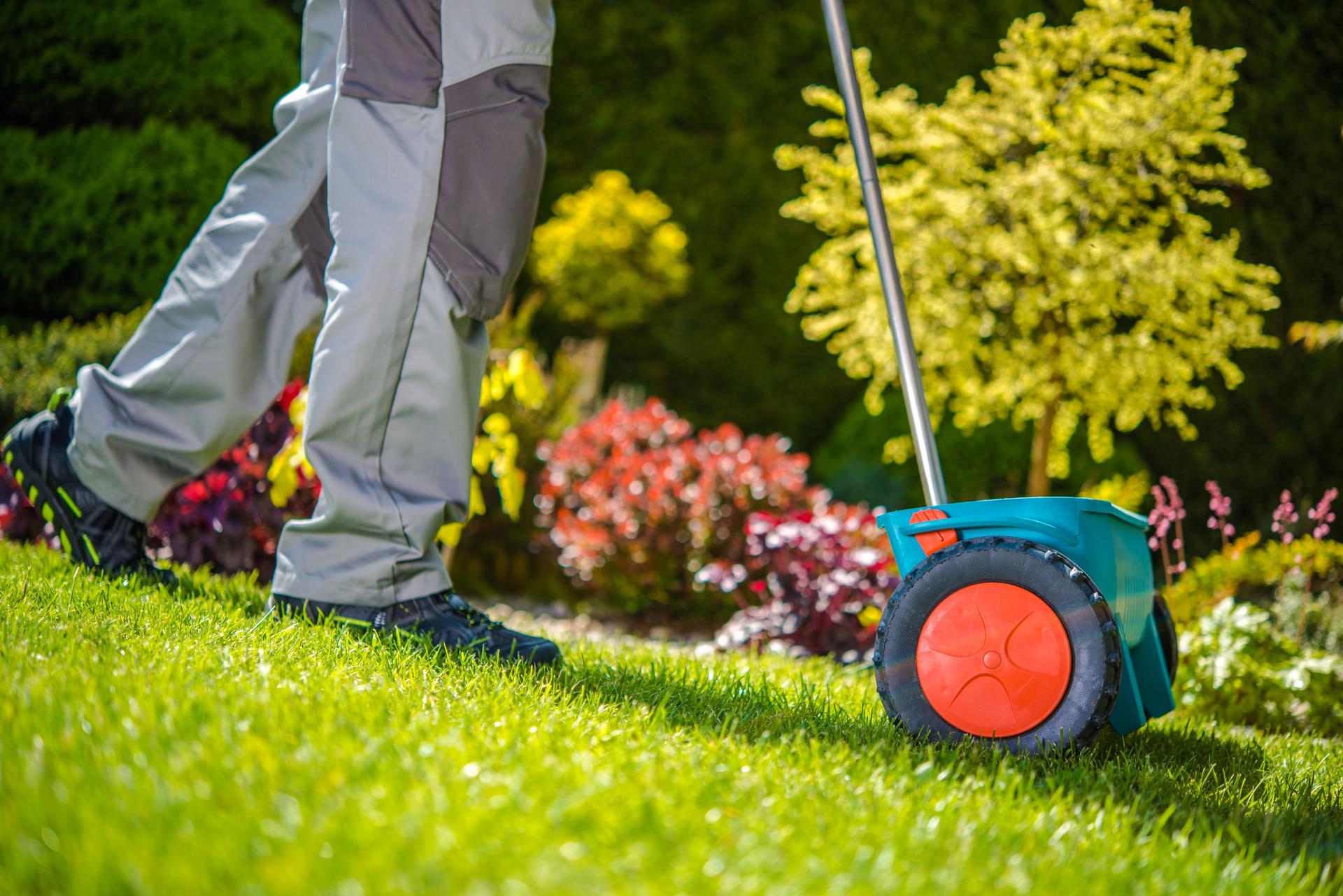 Man fertilizing his lawn