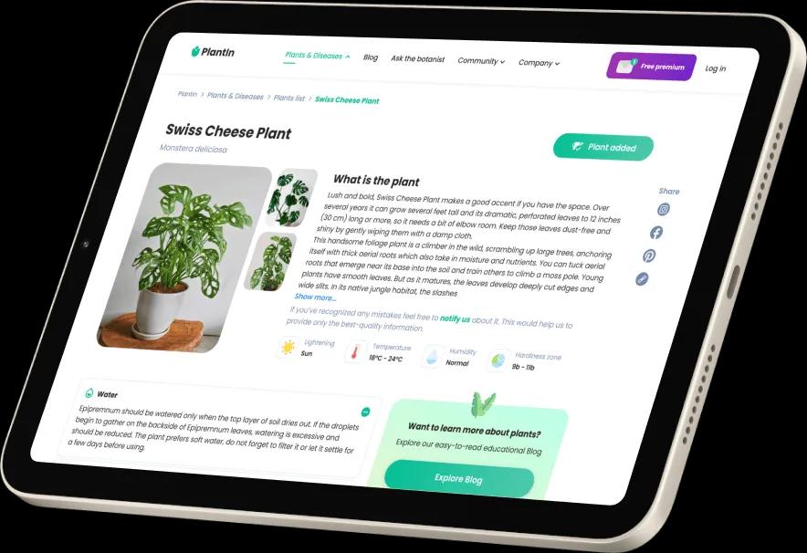 Plant Identifier Website Easy Plant Care & Growing With Plantin
