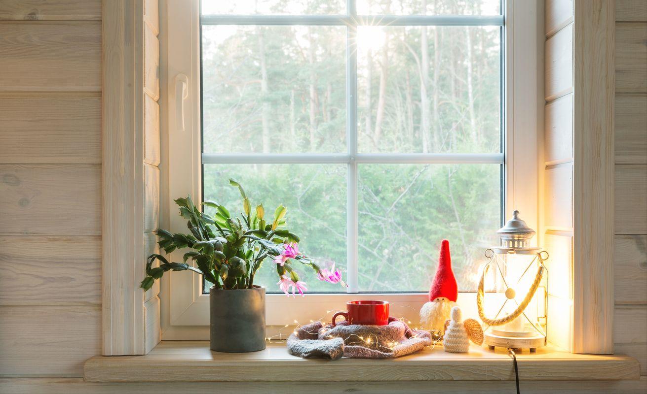 A Christmas cactus on a windowsill with holiday decor