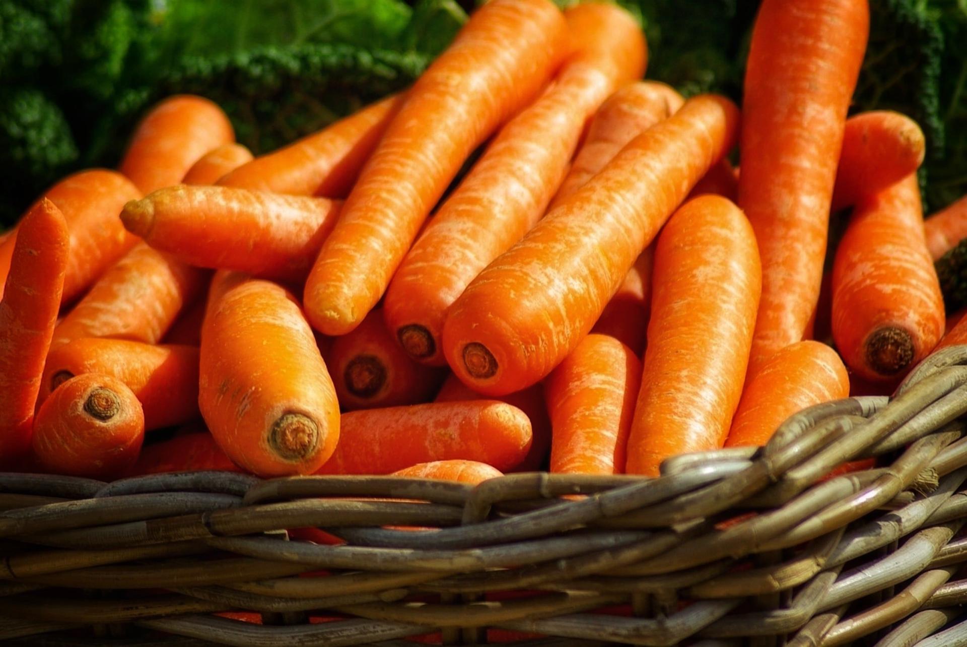 Fresh Carrots in a Basket