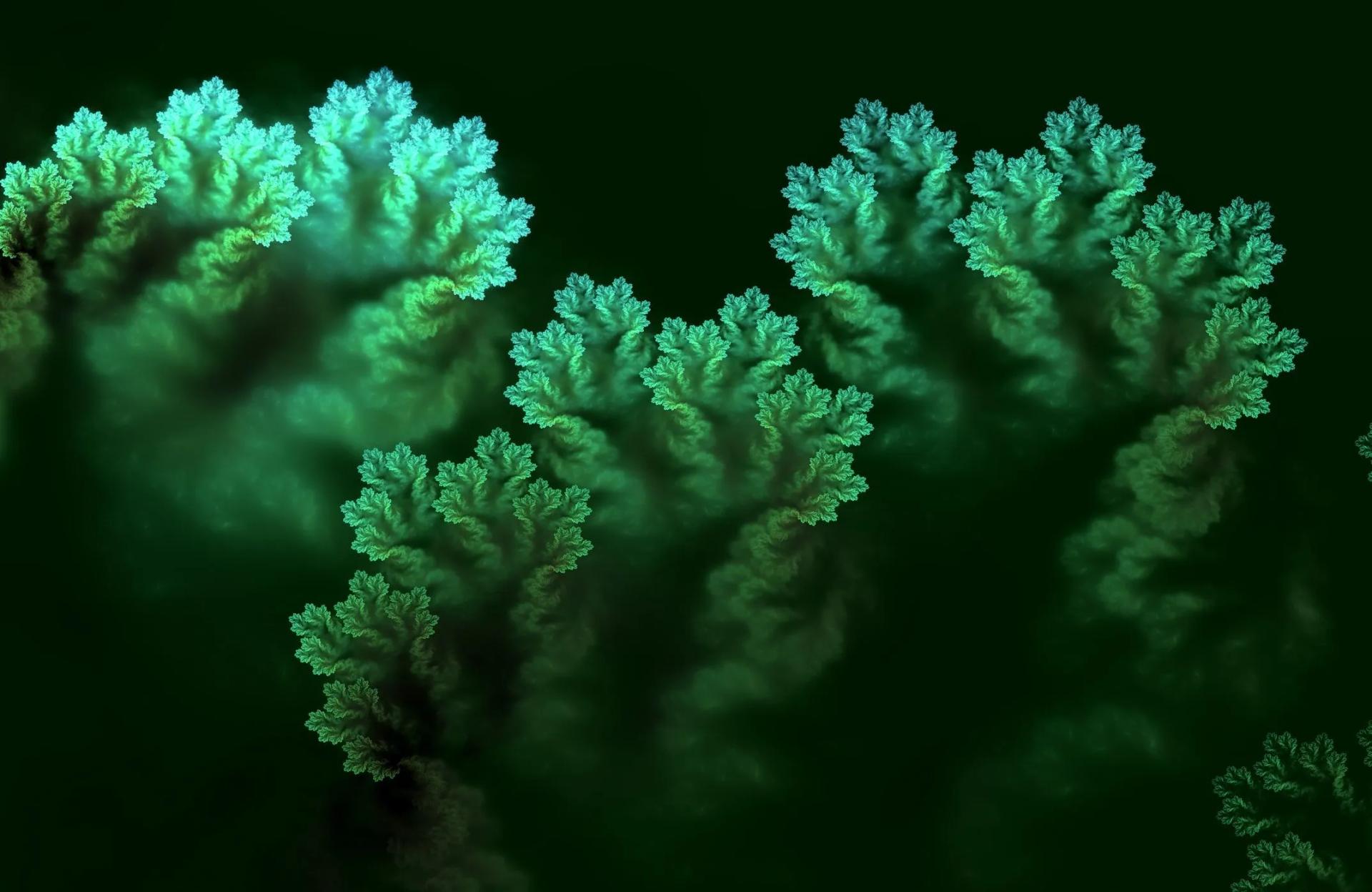 Glowing Fern-like Plant