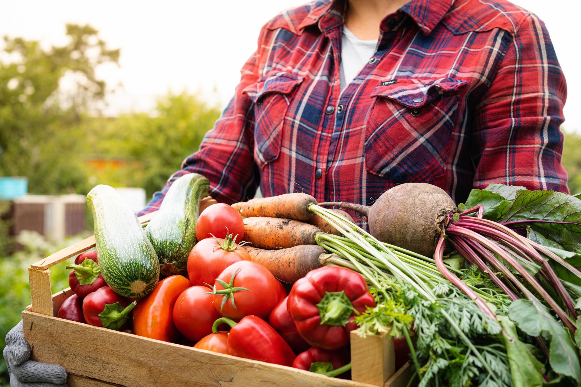 Carrots and Other Veggies