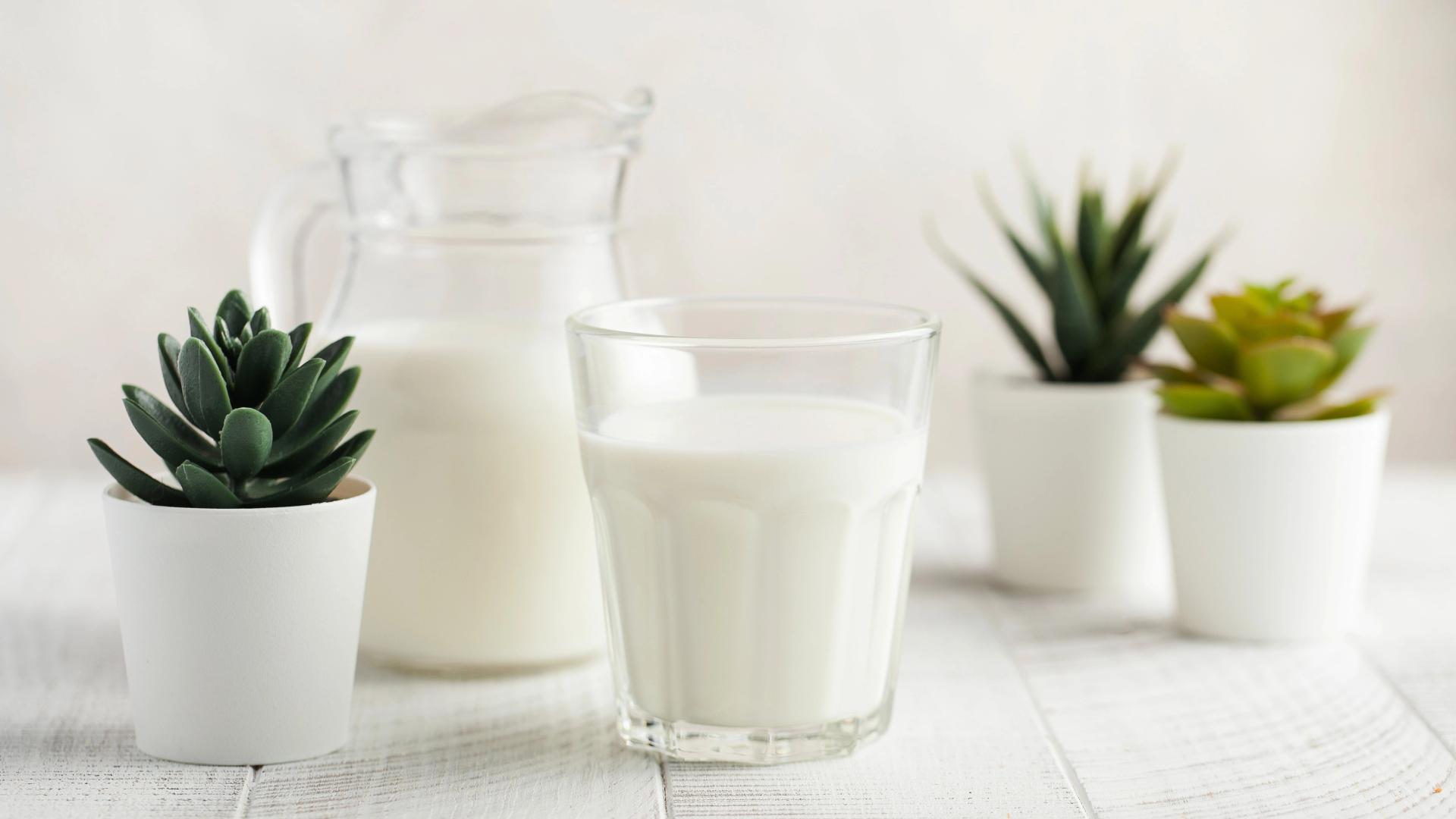Is Milk Good for Plants? Use Milk as Fertilizer & for Plant Care