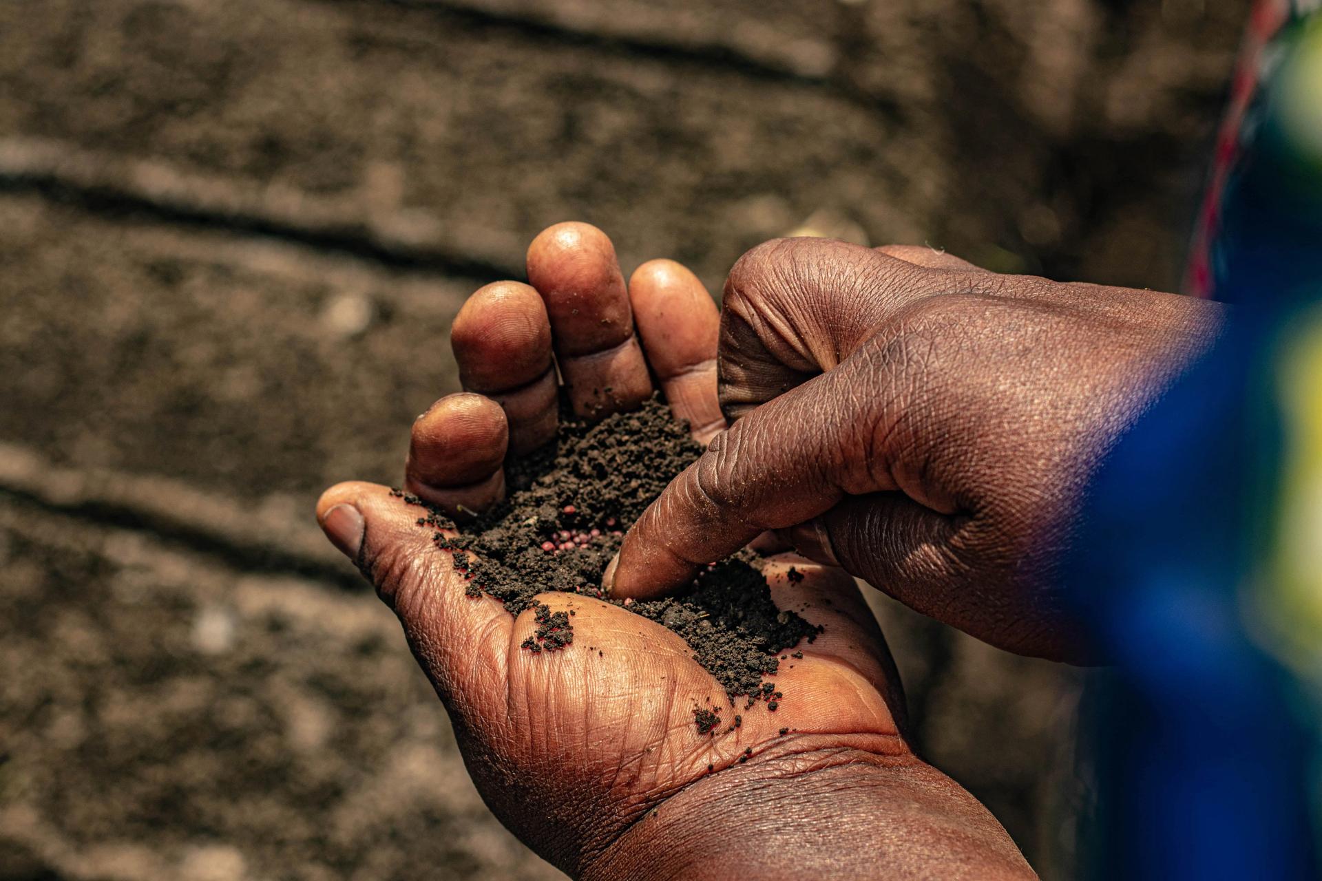 Burying Seeds