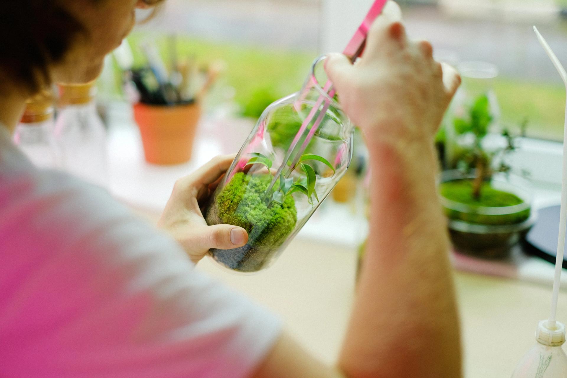 Choose the Best Plants For Your Terrarium – BloomBoxClub USA