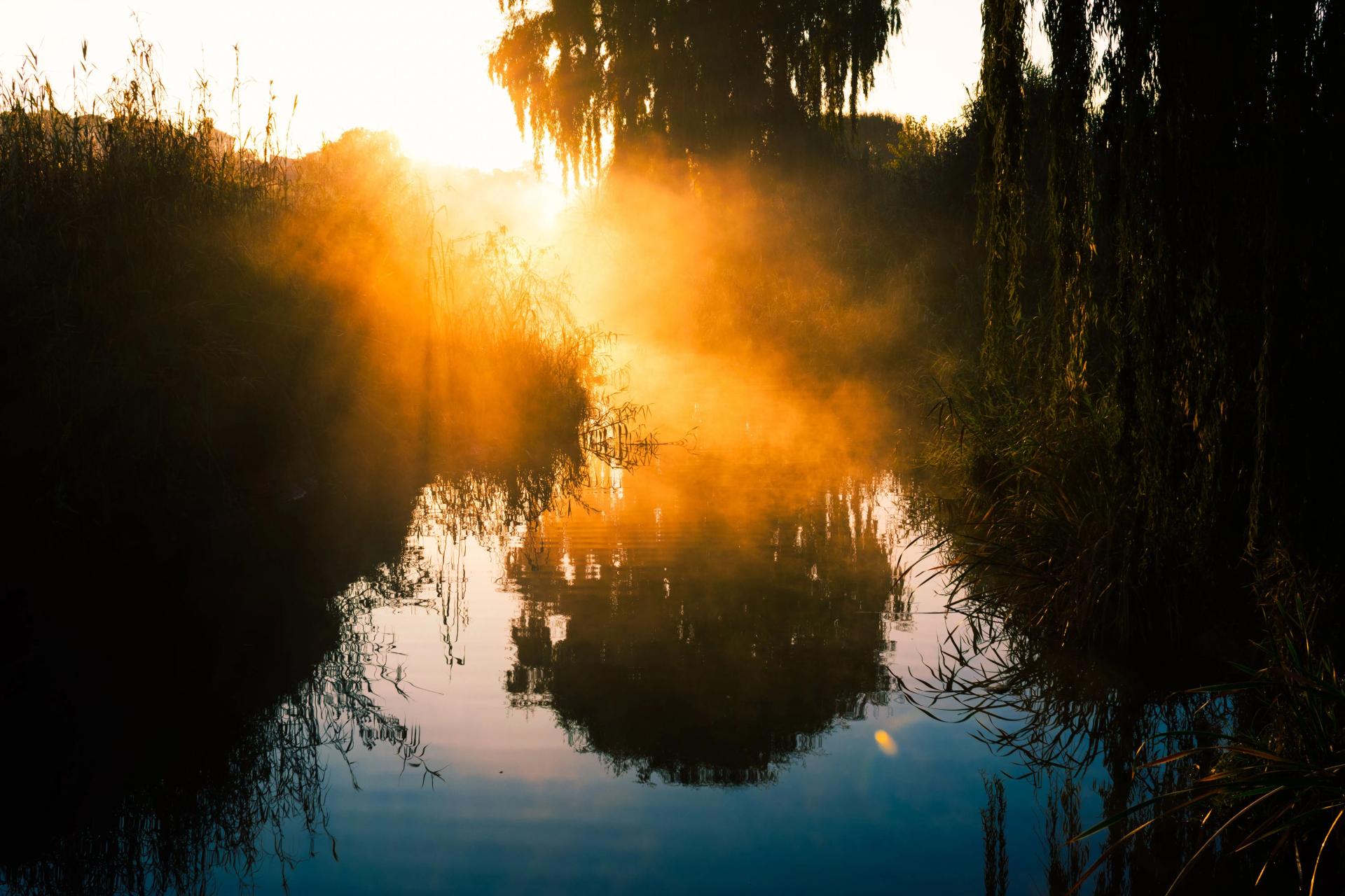 Sunset in the Wetlands