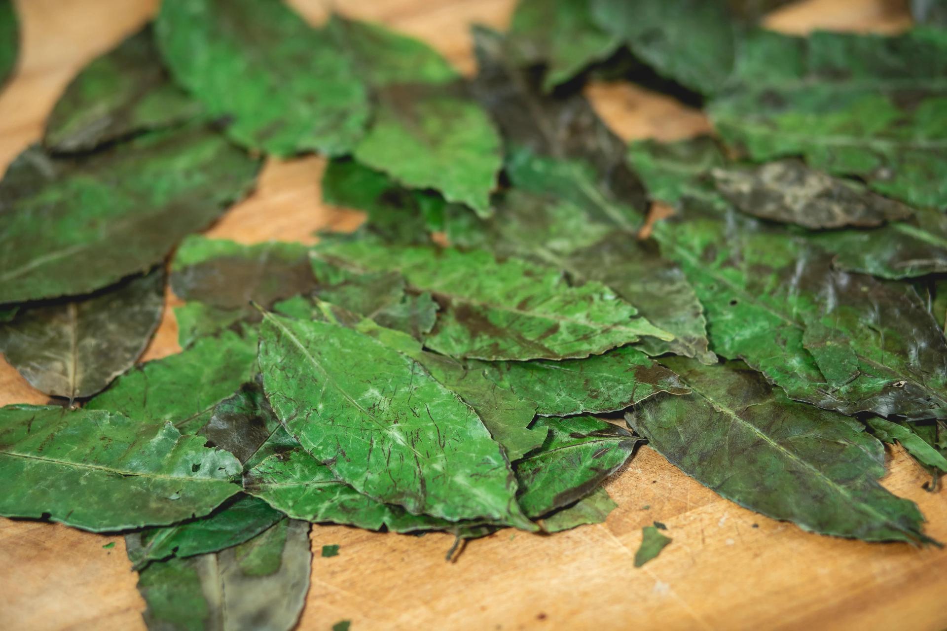 Dried Leaves 