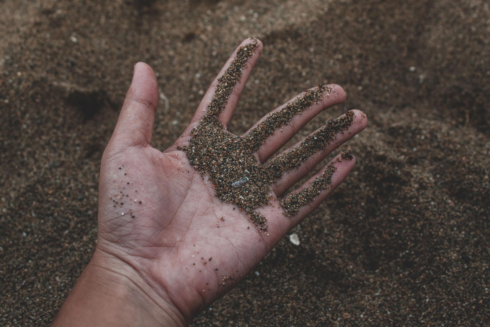 Soil in Hands