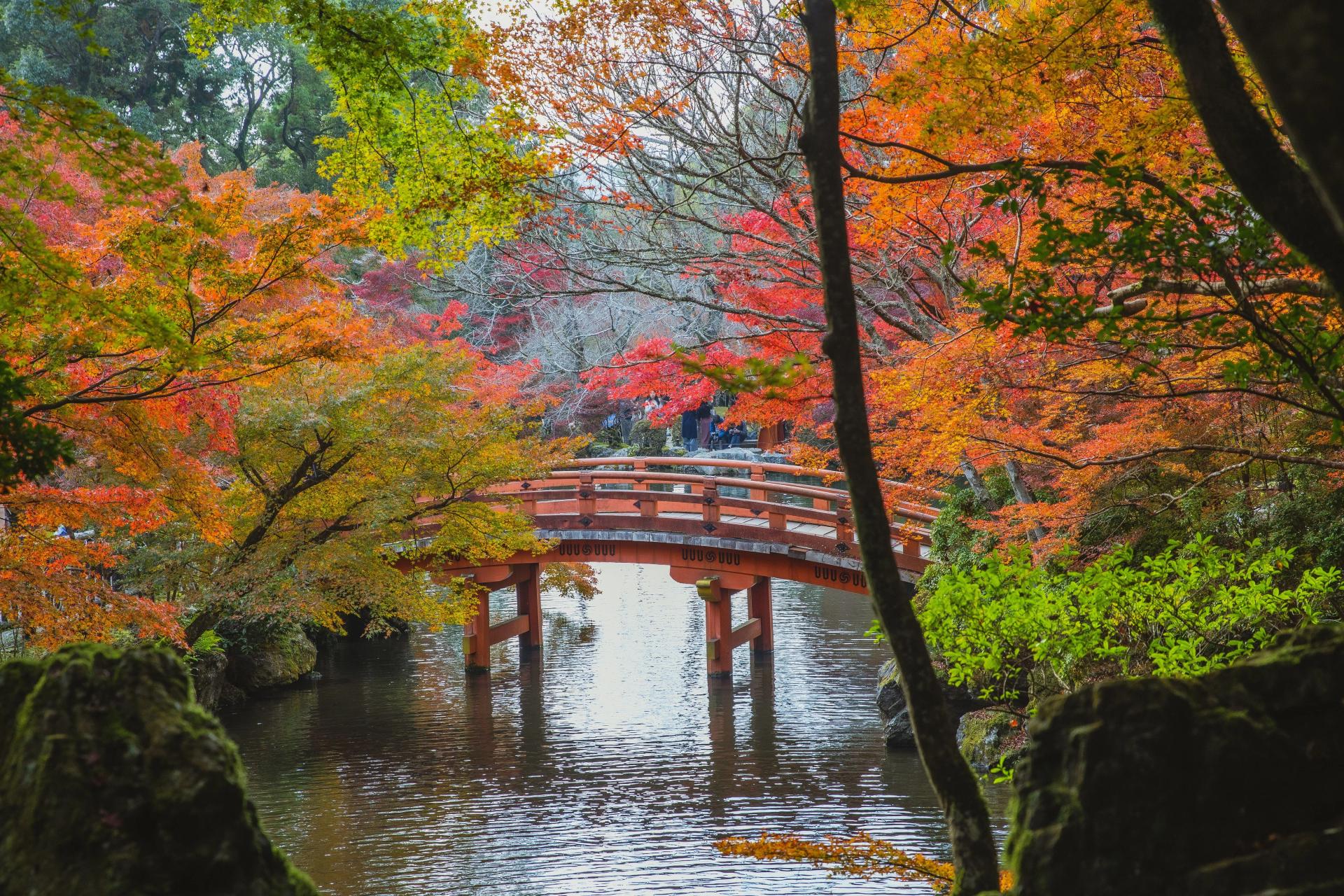 A River in the Zen Garden