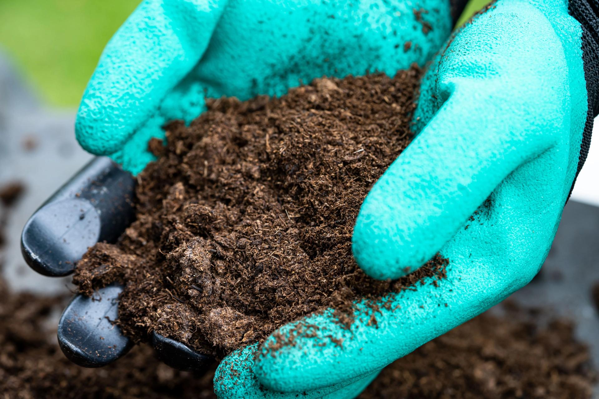 How to Enrich Poor Soil Quality Improvement Ways & Tips for Garden