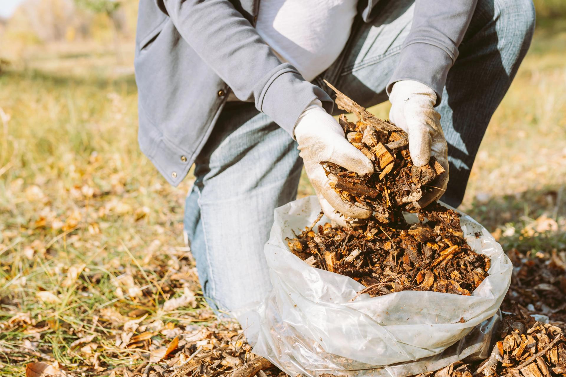 How to Enrich Poor Soil Quality Improvement Ways & Tips for Garden