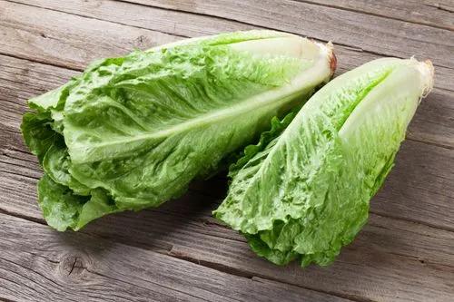 Romaine Lettuce