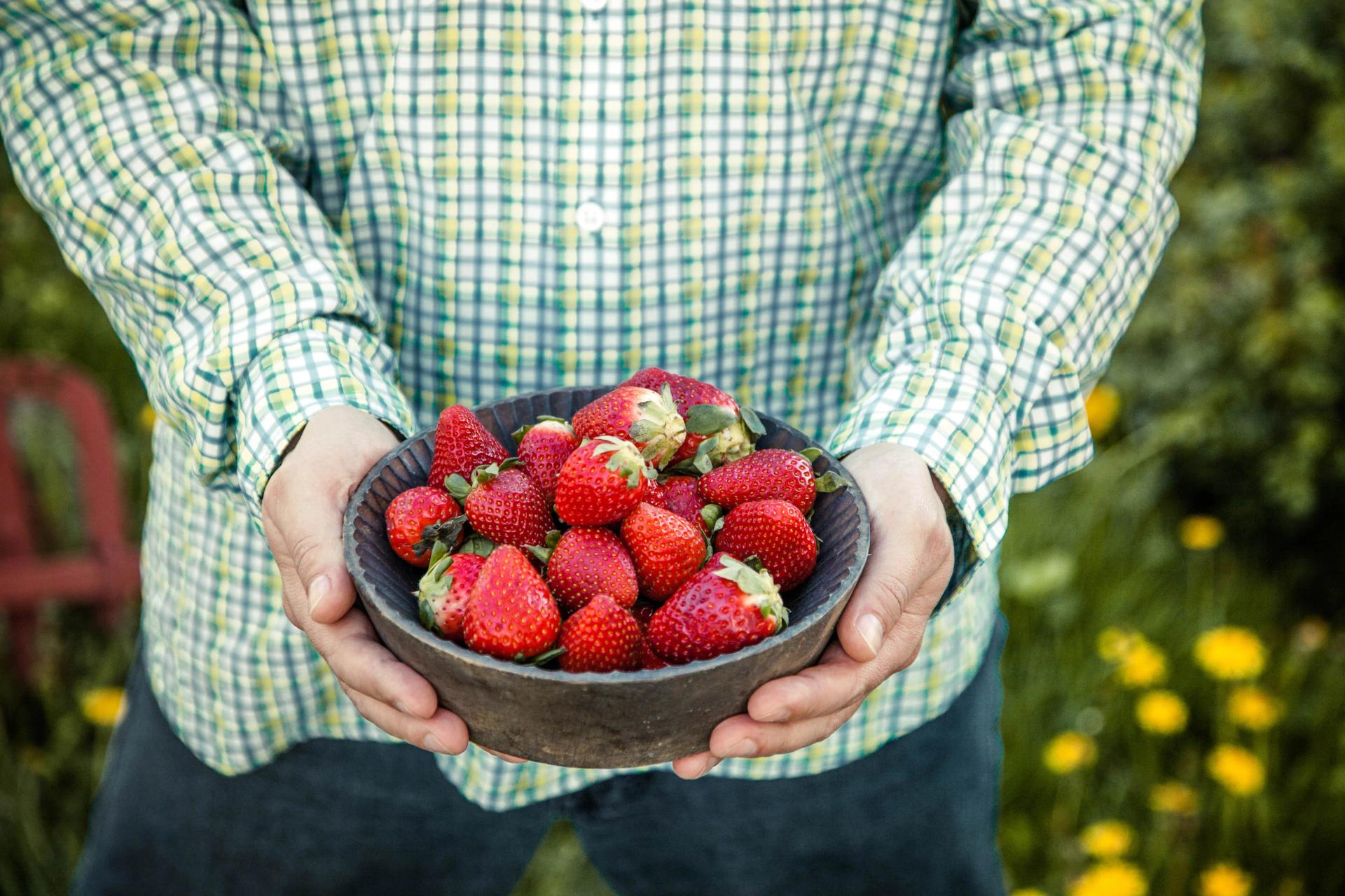 How Long Do Strawberries Take to Grow Seeds Planting & Growing Tips