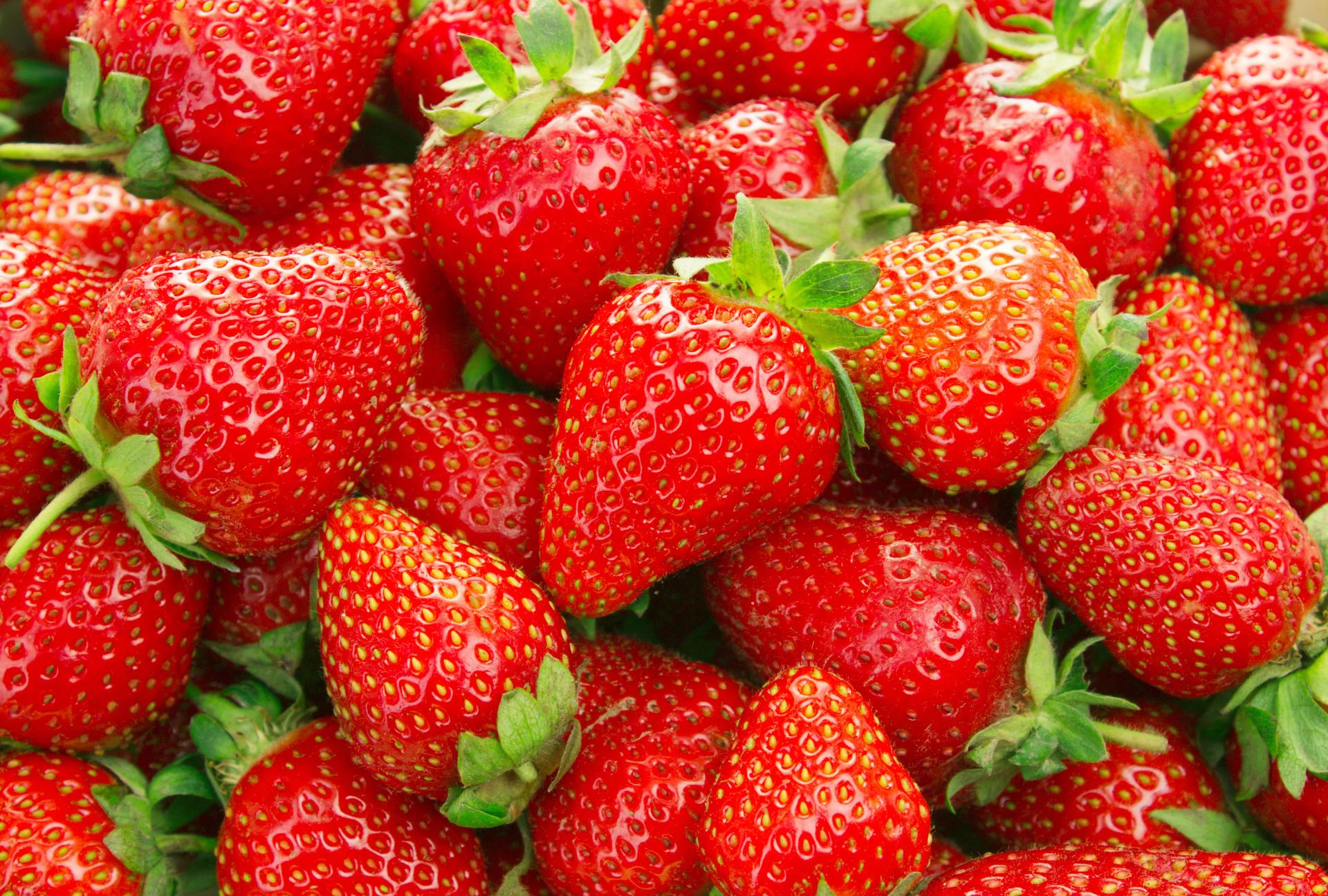 How Long Do Strawberries Take to Grow Seeds Planting & Growing Tips